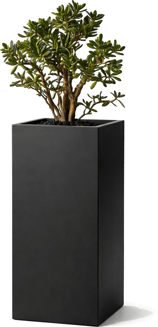 Monolith Tall Planter — #1C1C1E